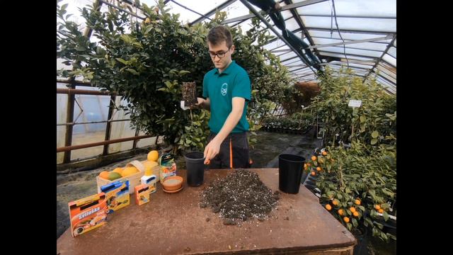 Jak na citrusy | ZK (CZ / EN Tit.) смотреть онлайн