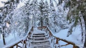 Карелия . Зимние каникулы 2024. Снежная сказка в формате 360.