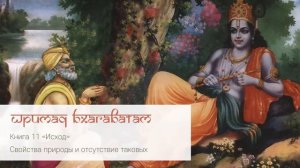 11 25 Свойства природы и отсутствие таковых.Шримад Бхагаватам