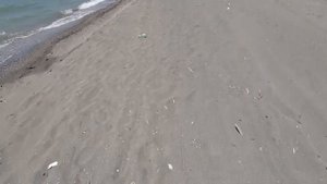 Дикий песочный пляж в Грузии? Да, такой есть!