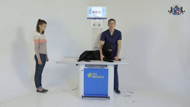 Урок 14. Укладка животного при рентгенографии пояса грудных конечностей. Запястье, кисть смотреть онлайн