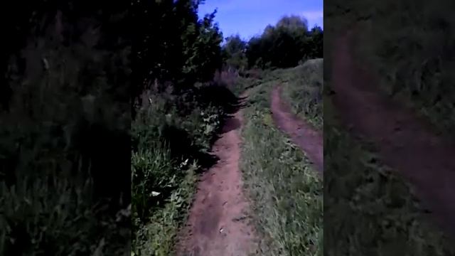 Grosh01 про вайп на SV.RU-M.ORG смотреть онлайн