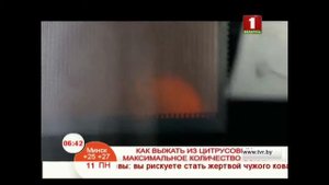 Как выжать из цитрусовых максимальное количество сока?