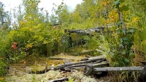 Место ссылки И.В. Сталина. Курейка. Байки от Рыжей. Привет из Сибири. Исторические места. И.В Стали