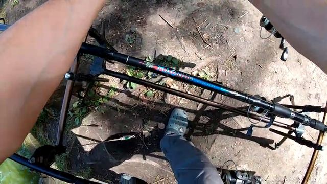 Вся рыба собралась возле бревна. Осенний клёв начался. смотреть онлайн