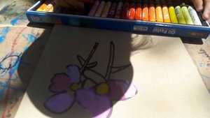 ПЛЕНЭР для детей . Зарисовки растений . Аптекарский огород.