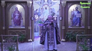 ? Почему в этом мире, любовь всегда распинаема и доброта всегда гонима. Протоиерей Георгий Поляков.