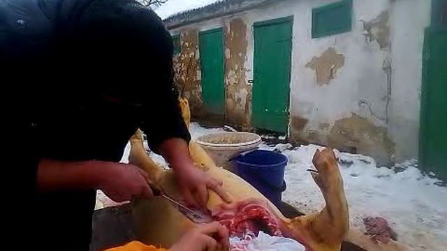 смаженый кабанчик для Надежды 21.12.2017