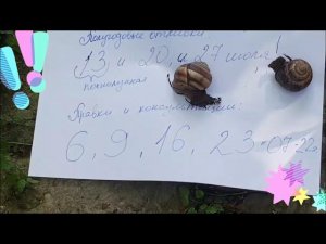 Энергетические Новости 5 7 2022