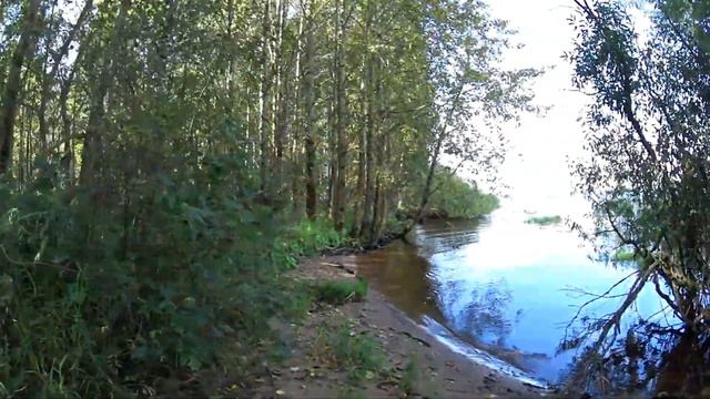 Копия на воблер Jackall Rerange 130 MR от ALLBLUE #Allblue_SHANKS_130_MR разловлен. смотреть онлайн