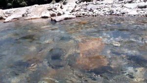 Сочи ксм с.пластунка на реке сочи