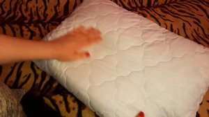 ПРОТЕСТИРОВАЛА СТЁГАНЫЙ ЧЕХОЛ НА ПОДУШКУ ИЗ ФИКС ПРАЙС, ПОКАЗЫВАЮ КАК СМОТРИТСЯ И КАКОГО КАЧЕСТВА.