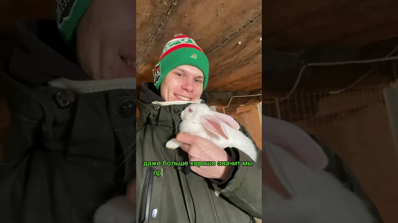 На ферме не соскучишься Куда долетели наши новости ? смотреть онлайн