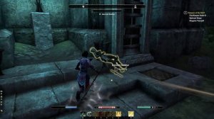 Elder Scrolls Online - Milvela Volos: Level 28 Vampire Hunter Templar