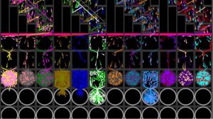 Team Marble Race 2 in Algodoo