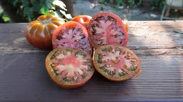 Tasmanian Chocolate Tomato. Delicious! For Containers And In Ground Growing! смотреть онлайн