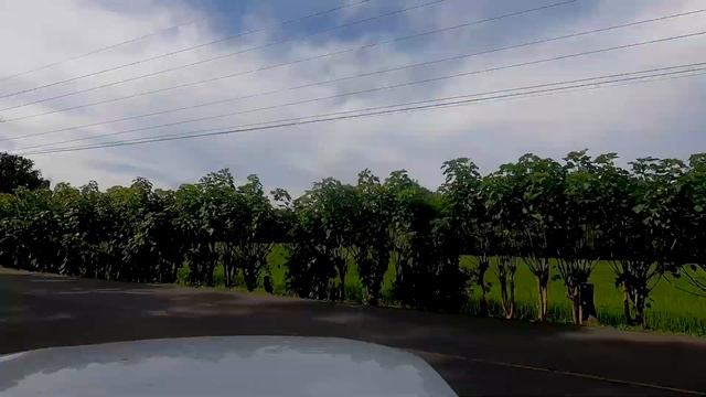 Costa Rica road trip from Santa Teresa to Nosara | Renting a car I Costa Rica - Ep 16 смотреть онлайн