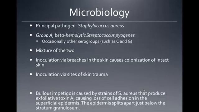 The Etiology, Clinical Presentation, Diagnosis, and Management of Impetigo смотреть онлайн