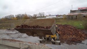 Мульча из сосновой коры - сырье для производства мульчи.