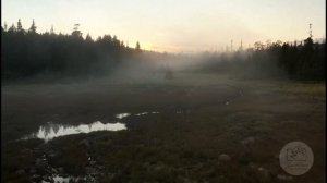 Остров Ряжков (Ряшков)