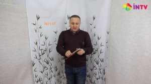 Обзор ложки, лопатки, половника, шумовки и картофелемялки TUBUS