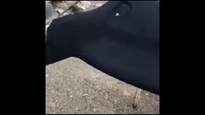 Обшивка  потолка Mercedes Benz W211