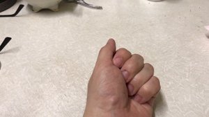 Жук - носорог. Самое сильное животное на планете!!!