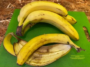 Шкурка от банана в хозяйстве пригодится как удобрение в рассаду и в открытый грунт