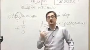 05 Лицитин фосфолипид