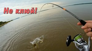 Стоит ли ловить с первого заброса? Рыбалка в июле