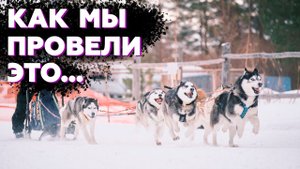 Как проводят соревнования С СОБАКАМИ | Ездовой спорт
