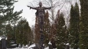 ЦЫГАНОВА ВИКА. СНЕГИРИ.