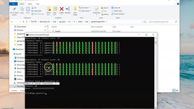 Implementation of Genetic Algorithm (Java Programming) смотреть онлайн