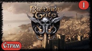 Baldur's Gate 3 ⚔️Варвар⚔️ Стрим №1