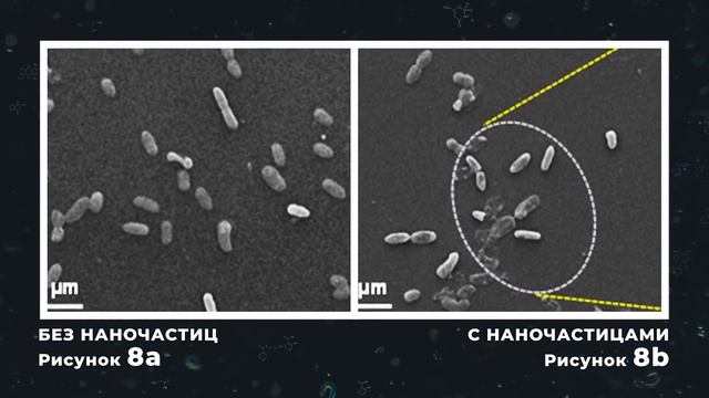 Современные доказательства эффективности нано серебра