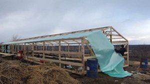 Моя первая пленочная теплица