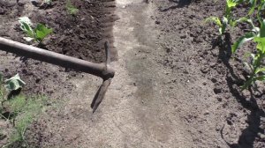 Поправляю земляные буртики грядок