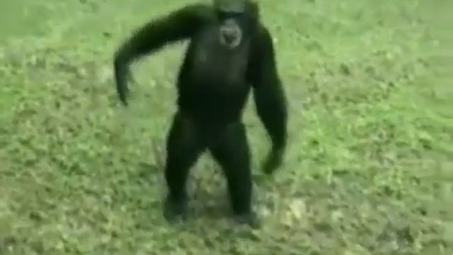 Подариии мнеее платооок ;) смотреть онлайн