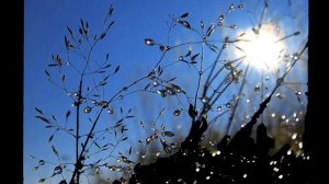 Молитва   Господи, помилуй!.wmv