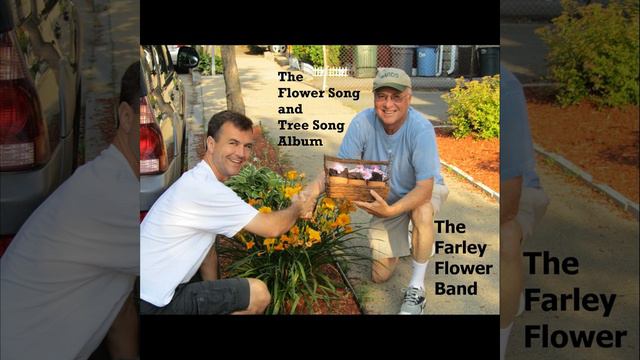 The Poor Bald Cypress Tree (Has No Hair) смотреть онлайн