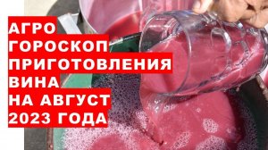 Агрогороскоп приготовления вина в августе 2023 року. Агрогороскоп приготування вина в серпні 2023