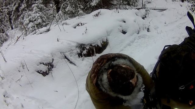 Линхай d200 зимой! поездка в лес,застряли 2/4 кардан