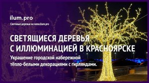 Украшение набережной в Красноярске светящимися деревьями с гирляндами / Айлюм Про