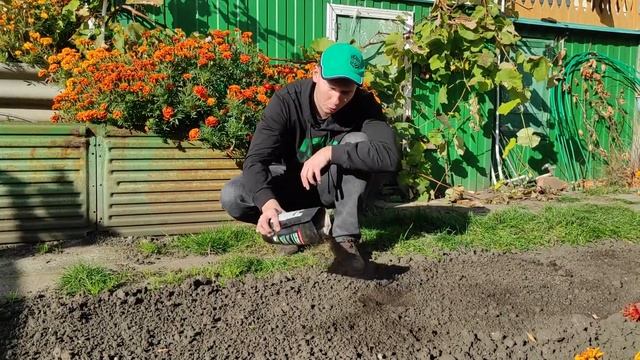 Сажали тыкву с Почвоулучшителем. Делимся результатом смотреть онлайн