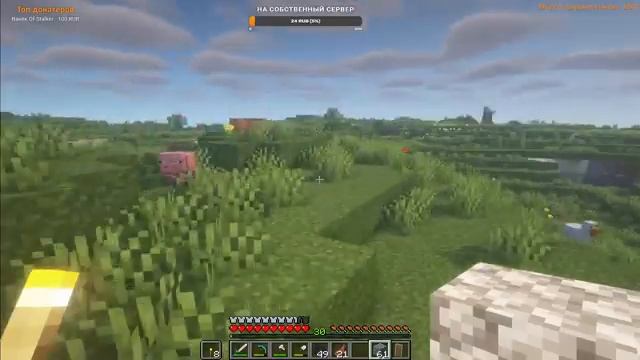 Ламповый стрим по Minecraft || Играем со зрителями в Minecraft на сервере (IP в описании) + РОЗЫГРЫ смотреть онлайн