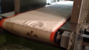 Сушка сахара песка