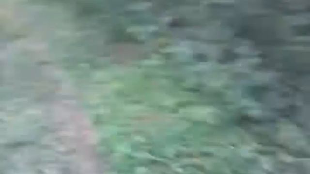 Поход до реки ворона часть 1 смотреть онлайн