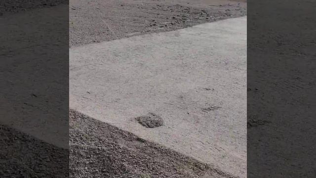 Подготовка усиленного основания под фундамент. Поляны. смотреть онлайн