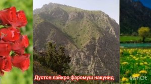 маллабой махрамов савдойи Мухаммад с а в🌹 газали узбик