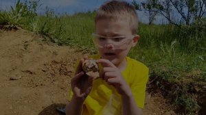 Раскопки Древних окаменелостей в Подмосковье с. Гжель.